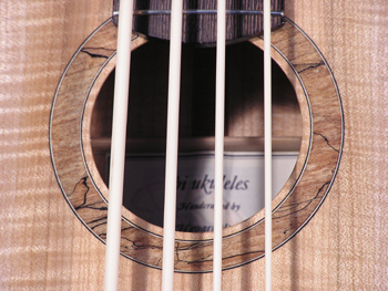 Bass Ukulele #19